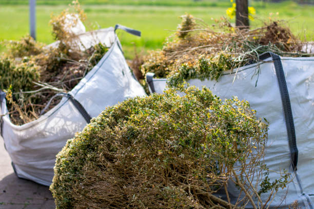 Best Carpet Removal and Disposal  in Johnson Creek, WI